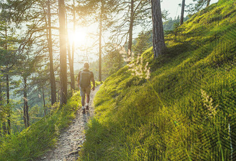 Ein Wanderer läuft auf einem schmalen Waldweg. Zwischen den Bäumen scheint die Sonne hindurch.