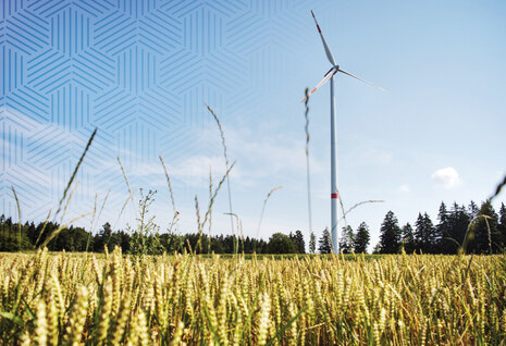 Im Vordergrund ist ein Getreidefeld, im Hintergrund sind eine Waldstück und Windräder zu erkennen.