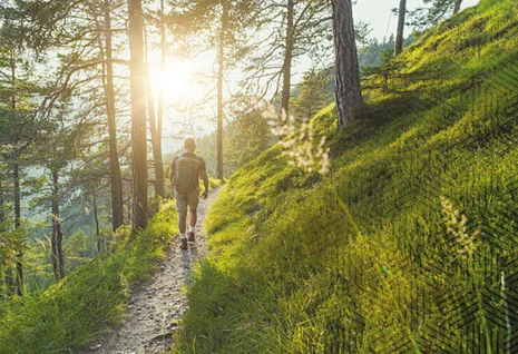 Ein Wanderer läuft auf einem schmalen Waldweg. Zwischen den Bäumen scheint die Sonne hindurch.