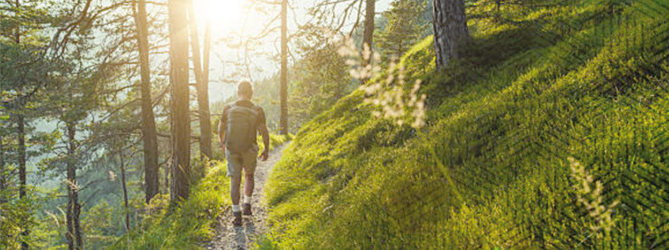 Ein Wanderer läuft auf einem schmalen Waldweg. Zwischen den Bäumen scheint die Sonne hindurch.
